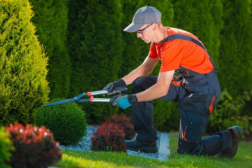 service